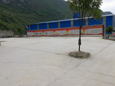 公司厂区一角