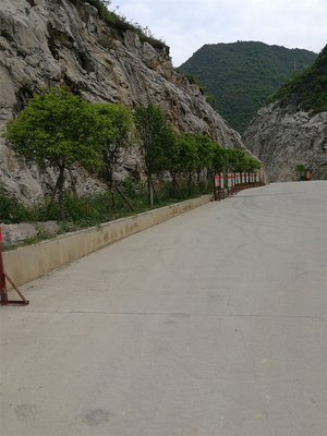公司绿化